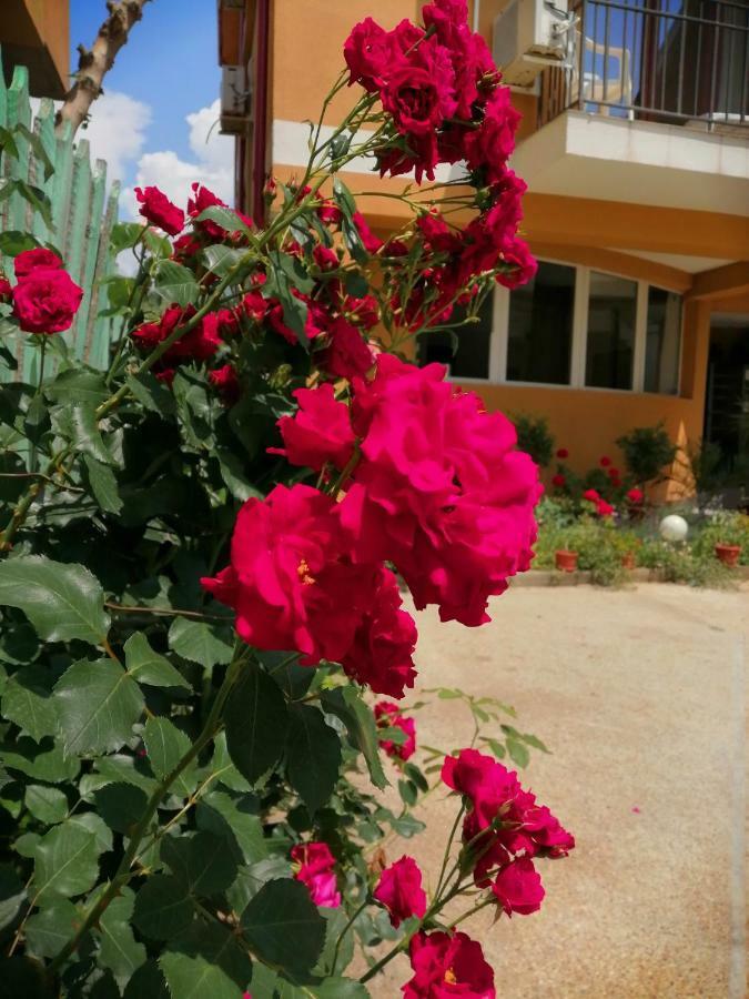 Năvodari Vilele Liliana מראה חיצוני תמונה